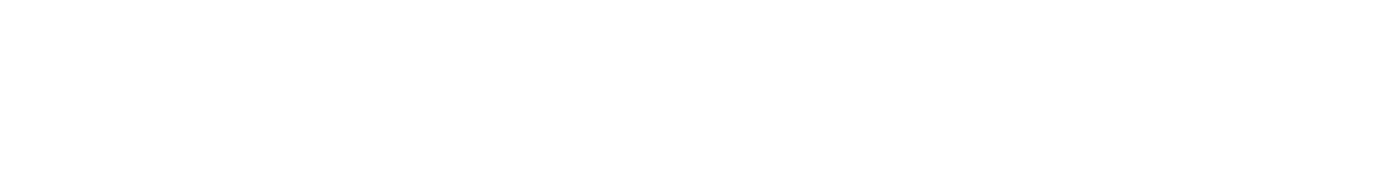 logo the boston globe white