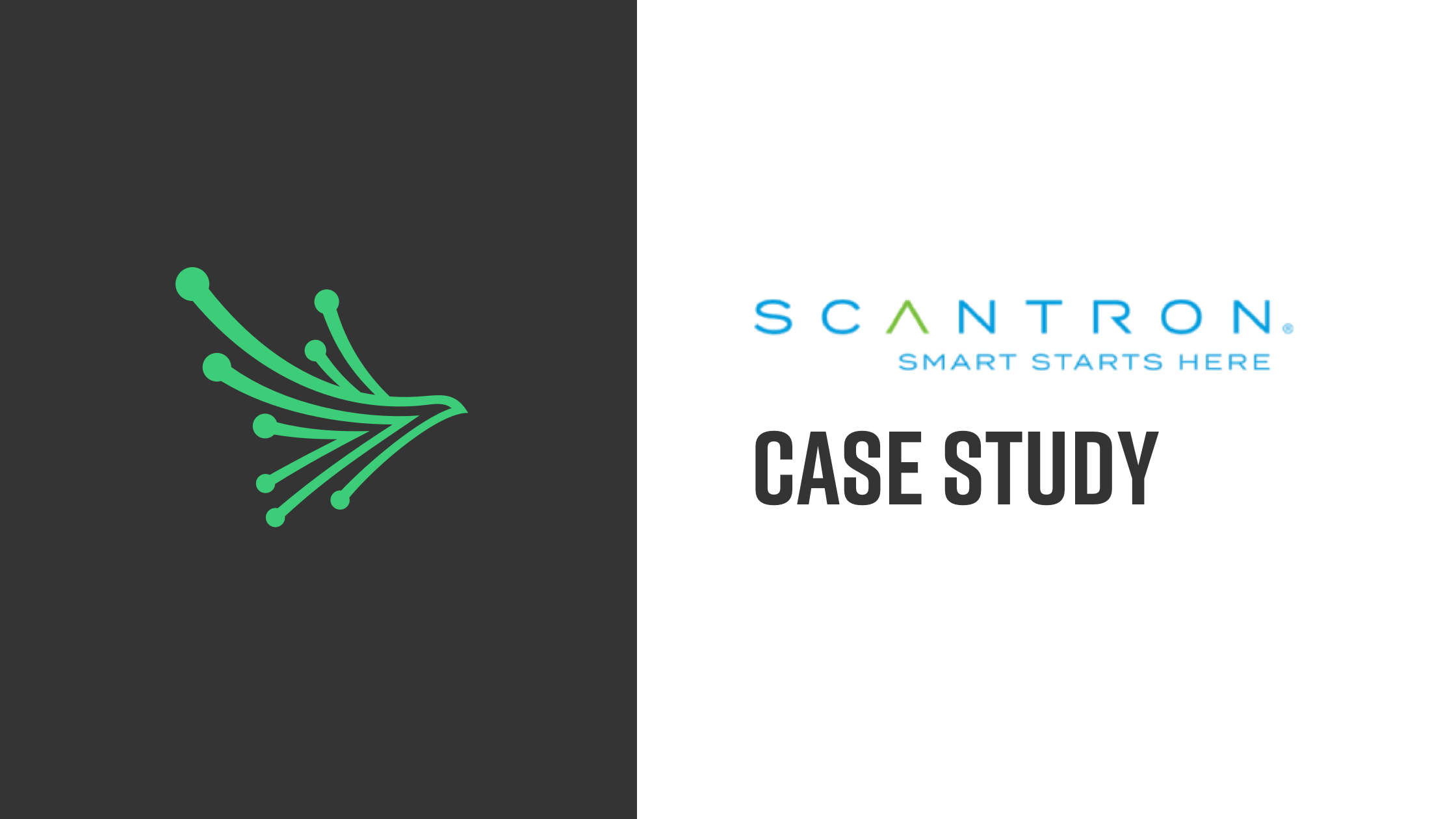 black kite case study scatron