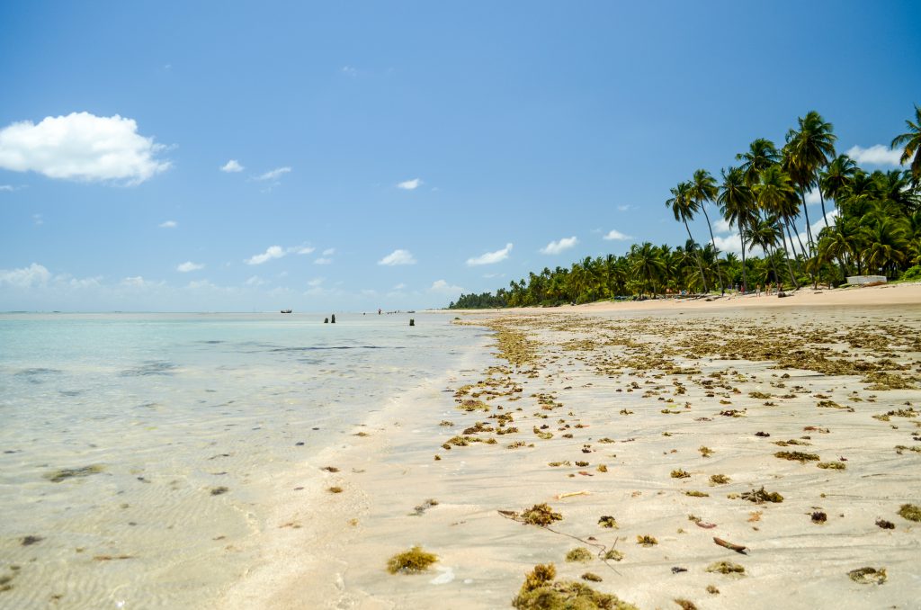 melhores praias do nordeste