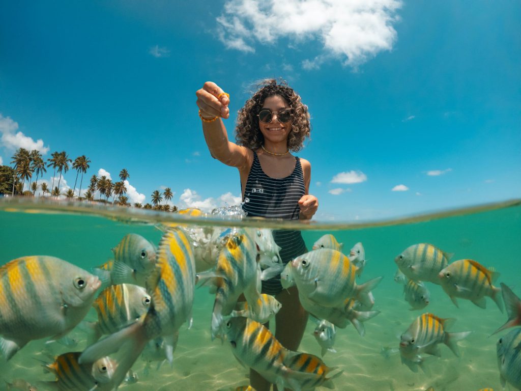 melhores praias do nordeste