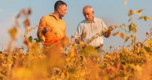 Como funciona o Crédito Rural rápido e fácil da Cresol?