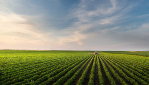 Tudo que você precisa saber sobre o crédito rural