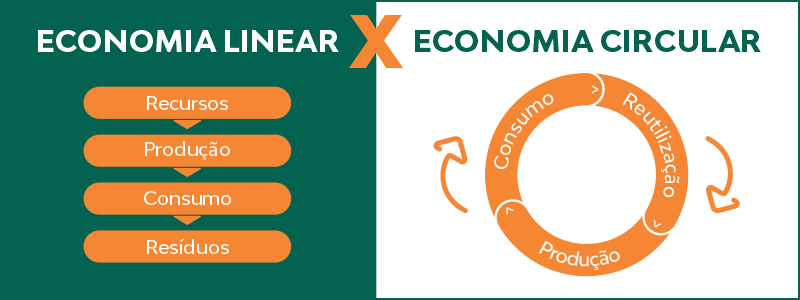 economia circular x economia linear