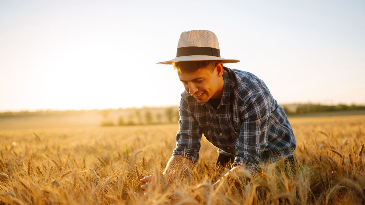 Crédito rural para iniciantes: tire suas dúvidas