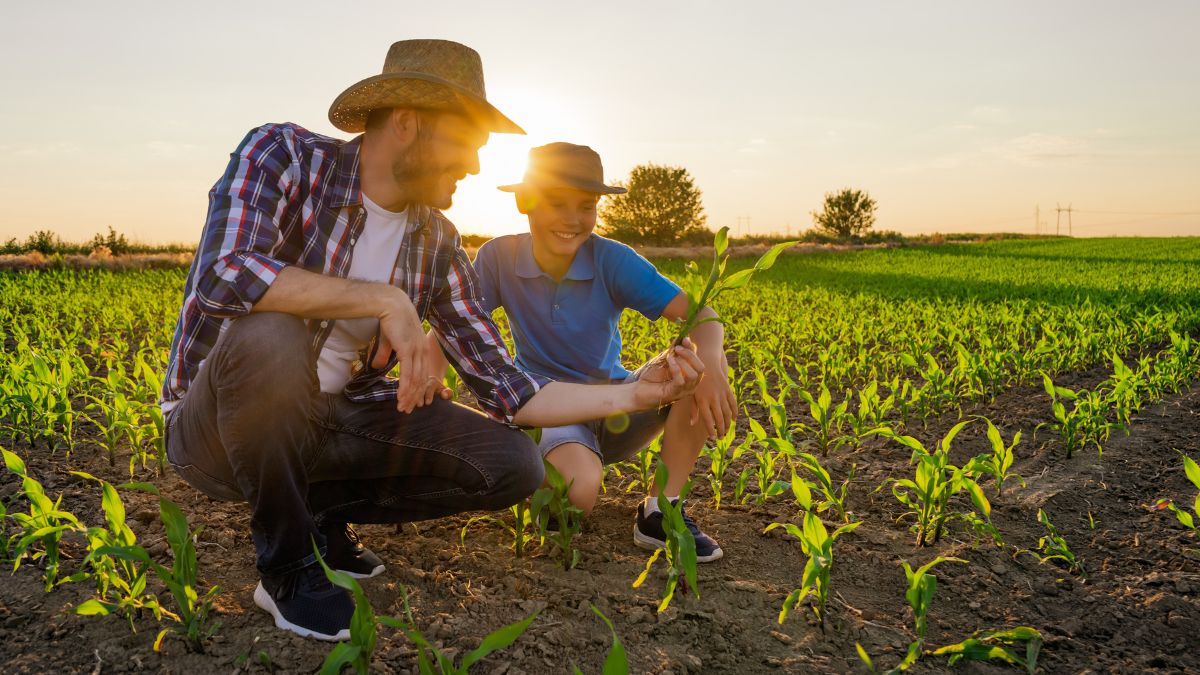 Agricultura familiar: saiba como inovar e expandir seu negócio