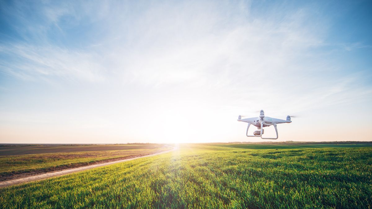 Tecnologia na agricultura: como investir e inovar