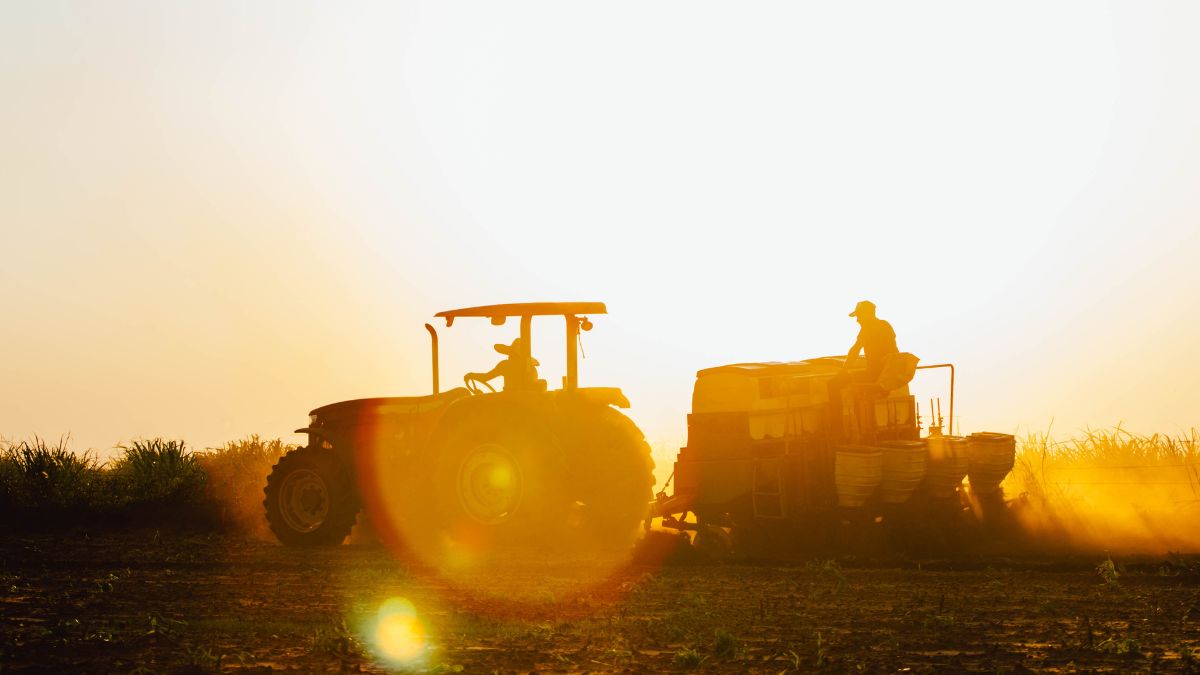 Crédito para custeio rural antecipado: conheça o pré-custeio