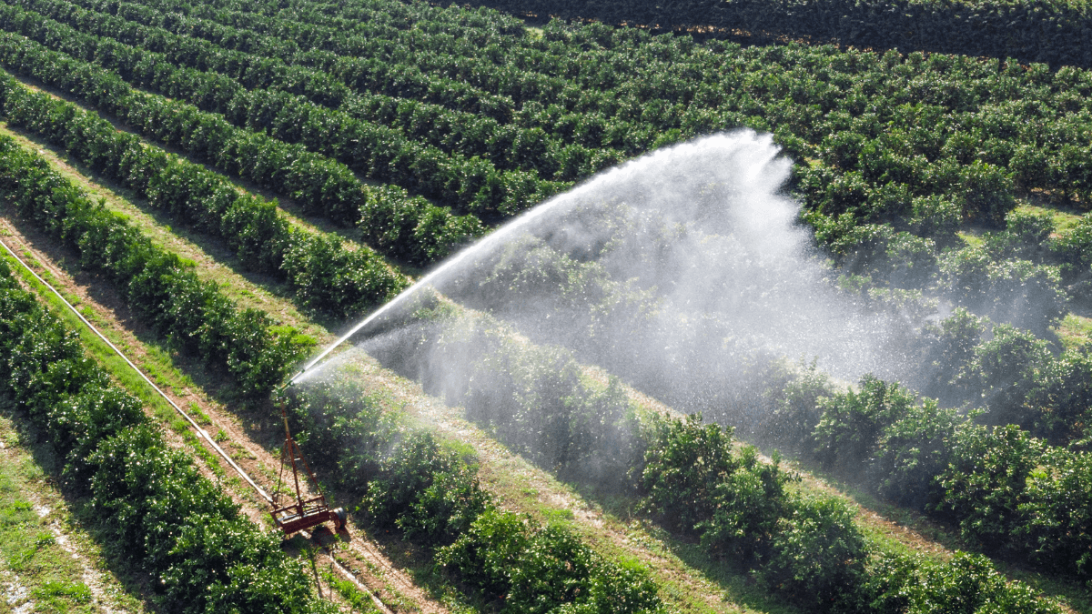 Maquinário regando campo rural