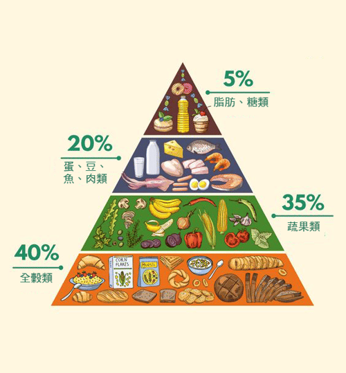 還記得營養金字塔的最尖端嗎？就是脂肪，表示它同樣是身體必需的營養素之一，但不知道什麼時候，脂肪被塑造成一個壞傢伙，讓大家對他避之唯恐不及，這篇要你拋開成見，重新認識脂肪，最後獲得它的健康益處！