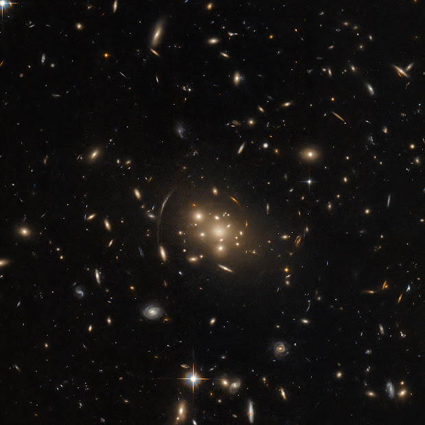 Galaxy Cluster SPT-CL J0019-2026