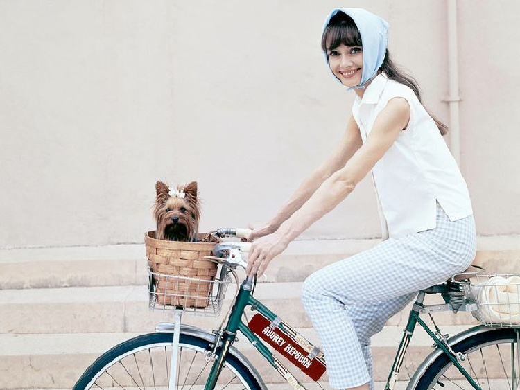 A Vintage Nerd, Vintage Blog, Audrey Hepburn Style, Audrey Hepburn Fashion, Audrey Hepburn Personal Style, Vintage Fashion Blog