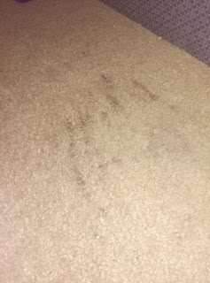 VeryDirtyCarpets_Carpet_Stain_Remover.jpg