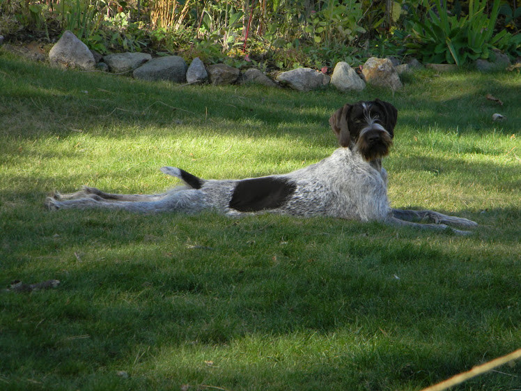 Ella enjoying the garden.