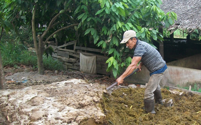 SAMBAS TANI Inilah cara mudah membuat Pupuk kompos 