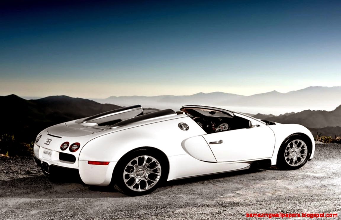 Bugatti Veyron Super Sport White And Blue