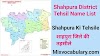 All Shahpura District Tehsil Name List, शाहपुरा जिले की तहसीलें 