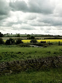 Kitchen view