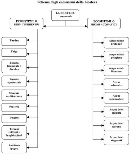 schema_ecosistemi