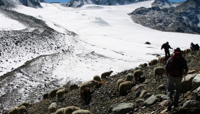 Education in glaciology: Witnessing the death of a glacier