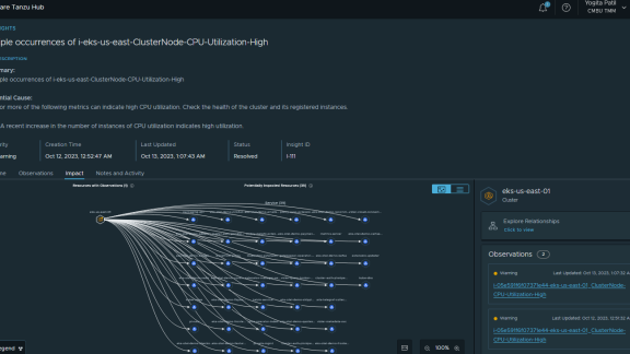 Tanzu Insights - Impact View