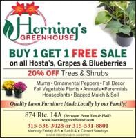 Horning's Greenhouse