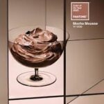 Mocha Mousse - 2025 Pantone Color of the Year