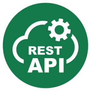 Rest API Icon