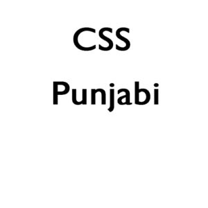 Punjabi