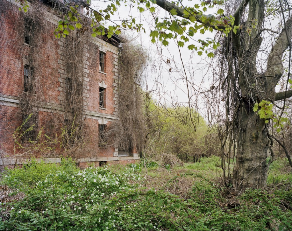 Plants shield the windows of Nurses' Home  Photo © Chris Payne