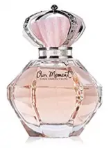 One Direction Our Moment