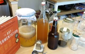 Healthy Family : Growing a Kombucha Scoby