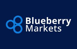 Blueberry Markets