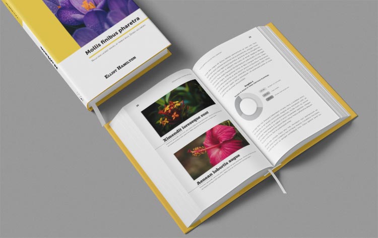 Book Template Layout Template Cover Template