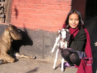 nepal-404_640