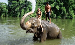 Elephant Thailand 騎大象