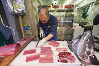 生魚片_鮪魚_築地魚市