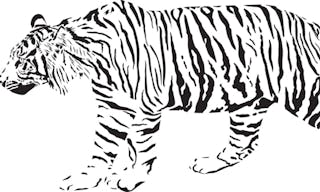 Tiger - Black and white vector illustration – stock illustration