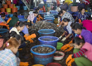 Seafood From Slaves Shrimp Sheds