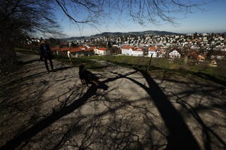 A woman walks with a dog on a hill near the city of St. Gallen in St. Gallen