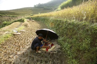 A Vietnamese farmer of Hmong ethnic tribe Hang A Dua uses an umbrella to cover his son Hang Trung Hieu from the sun on a terrace