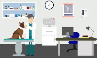 獸醫 Veterinary office with doctor and pets. Doctor veterinary in clinic with dog. Vector illustration. Veterinarian doctor holds 