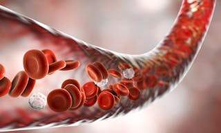 血液_Blood_vessel_with_flowing_blood_cells