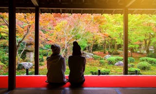 Japanese girls sit in Enkoji temple to see fall Japanese foliage, Momiji, garden in Kyoto, Japan. Here is Rinzai Zen Sect and ve