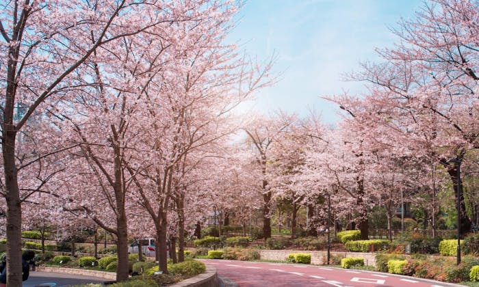 中目黑咖啡散步地圖｜3家花景第一排的東京咖啡館