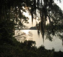 Georgia Veterans Memorial State Park