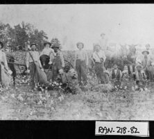 Sharecroppers