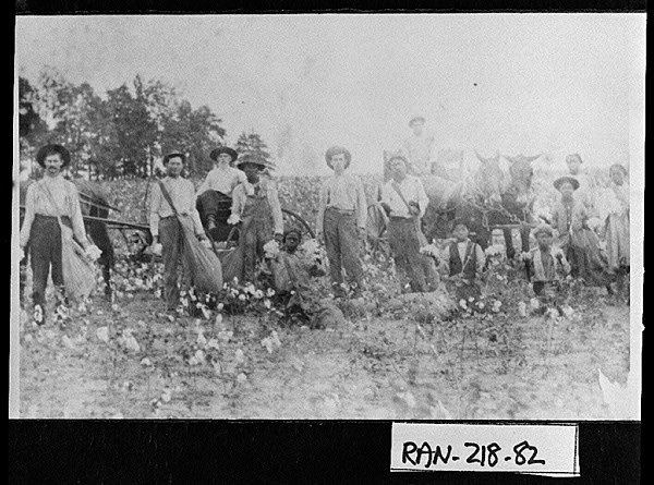 Sharecroppers