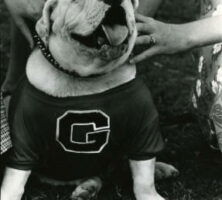 Uga IV