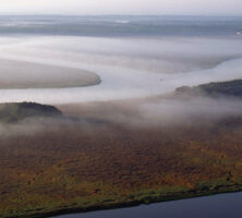 Upper Coastal Plain