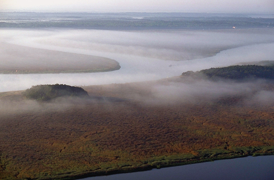 Upper Coastal Plain